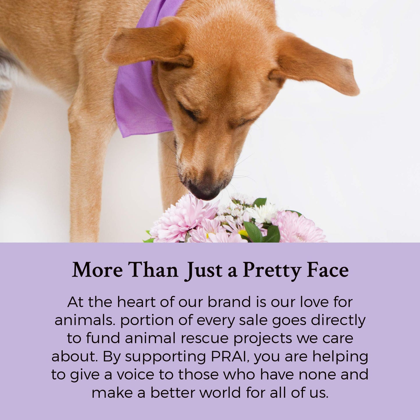 24K Gold by Prai Wrinkle Repair Day Serum 30ml, Deep Hydrating Express Facelift Serum for Smooth Younger Looking Skin