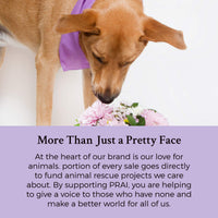 24K Gold by Prai Wrinkle Repair Day Serum 30ml, Deep Hydrating Express Facelift Serum for Smooth Younger Looking Skin