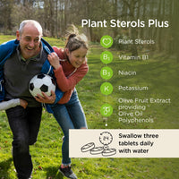 Healthspan Plant Sterols Plus (28 Day Supply) | 2400 mg Plant sterols with Oli-Ola Olive Extract | Supports Normal Cholesterol Levels | Added Potassium & Vitamins B1 & B3