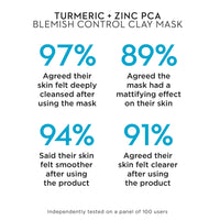 Botanical Lab Turmeric Blemish Treatment Clay Mask PACKAGING MAY VARY, White, 100 millilitre