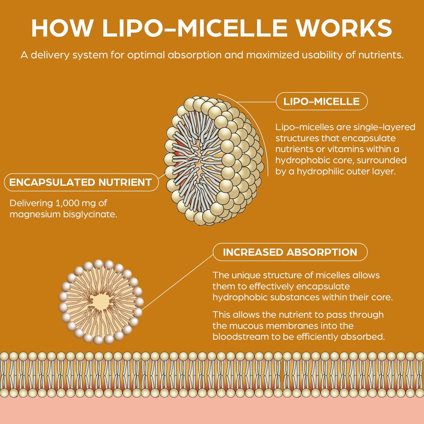 Gaelikine Magnesium Bisglycinate Drops 1000mg – High Absorption Liquid Magnesium Glycinate with Liposomal Micelle Technology, Gentle & Stomach-Friendly Formula, Lemon Flavour, Vegan, 120ml