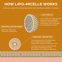 Gaelikine Magnesium Bisglycinate Drops 1000mg – High Absorption Liquid Magnesium Glycinate with Liposomal Micelle Technology, Gentle & Stomach-Friendly Formula, Lemon Flavour, Vegan, 120ml