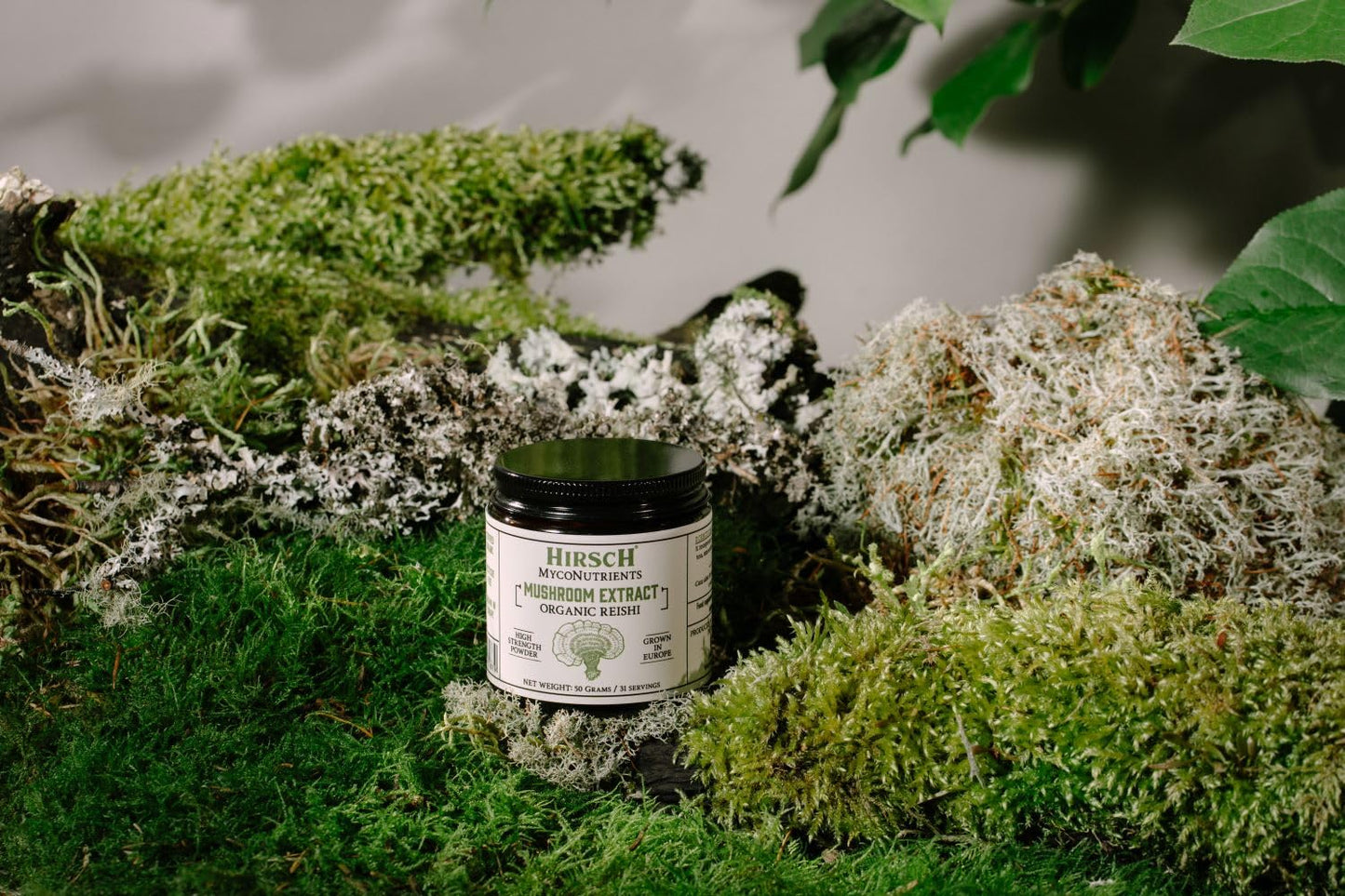 Hirsch Organic Reishi High Strength Extract Powder - Organically Grown in The EU - Non-GMO - No Added Fillers