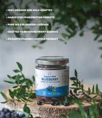 LOOV Wild Blueberry Powder Organic (Pomace Powder), Wild-Crafted from Nordic Forests, Made of Wild Bilberry Skins and Seeds Only, no Added Sugar, High in Fiber, 100 g