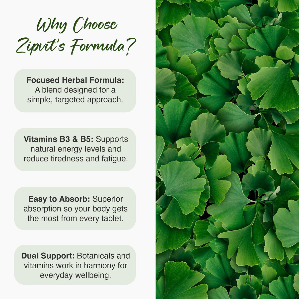 Zipvit Ginkgo Biloba 6000mg with Vitamins B3 & B5, 360 Vegan Tablets, Supports Memory, Focus, Brain Health & Cognitive Wellness, Standardised 50:1 Leaf Extract, 12 Months Supply.