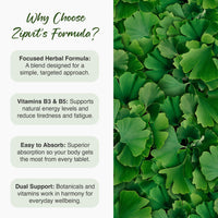 Zipvit Ginkgo Biloba 6000mg with Vitamins B3 & B5, 360 Vegan Tablets, Supports Memory, Focus, Brain Health & Cognitive Wellness, Standardised 50:1 Leaf Extract, 12 Months Supply.