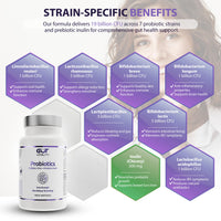 Gut Vitality Probiotic for Gut Health | 19 Billion CFU | 7 Strains for Bloating Relief & Digestive Support | 60 Delayed-Release Vegan Capsules | with Prebiotic Inulin