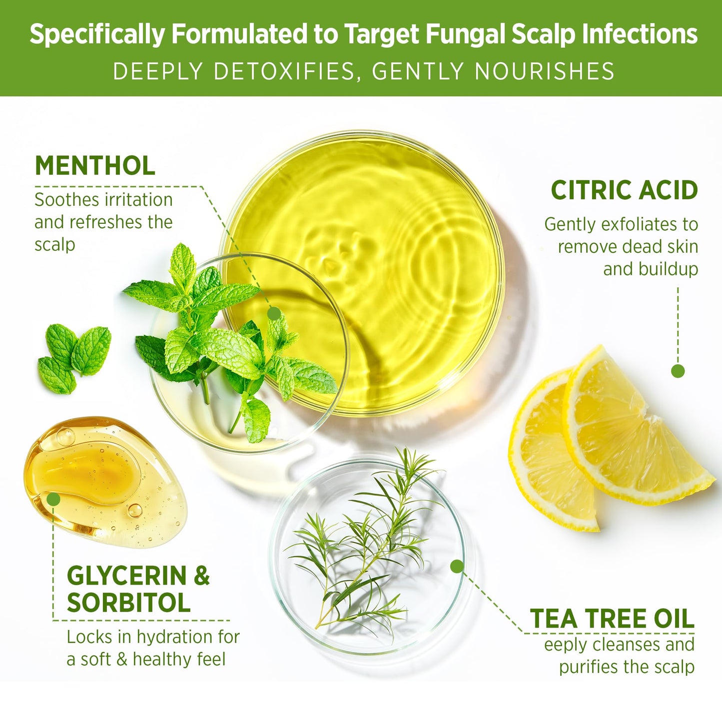 Roycederm Tea Tree Scalp Scrub: Soothing Hair & Scalp Care for Itchy, Dry, Flaky Scalp & Dandruff | Exfoliating & Hydrating with Tea Tree Oil for Women & Men