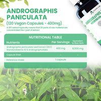 ALZURO LABS Alzuro Labs Andrographis Paniculata 8,000mg Eq - 120 Vegan Capsules | Botanical Support for Immune & Liver Wellness | 20:1 Kalmegh Extract (10% Andrographolides) | GMP & Lab Tested | 4 Months Supply