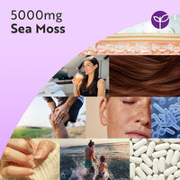Nutravita 5000mg Sea Moss Tablets - 400 Irish Sea Moss Vegan Supplements for 6.5 Months of Supply, Contributes to Normal Energy-Yielding Metabolism, Skin & Cognitive Function (EFSA) Made in the UK