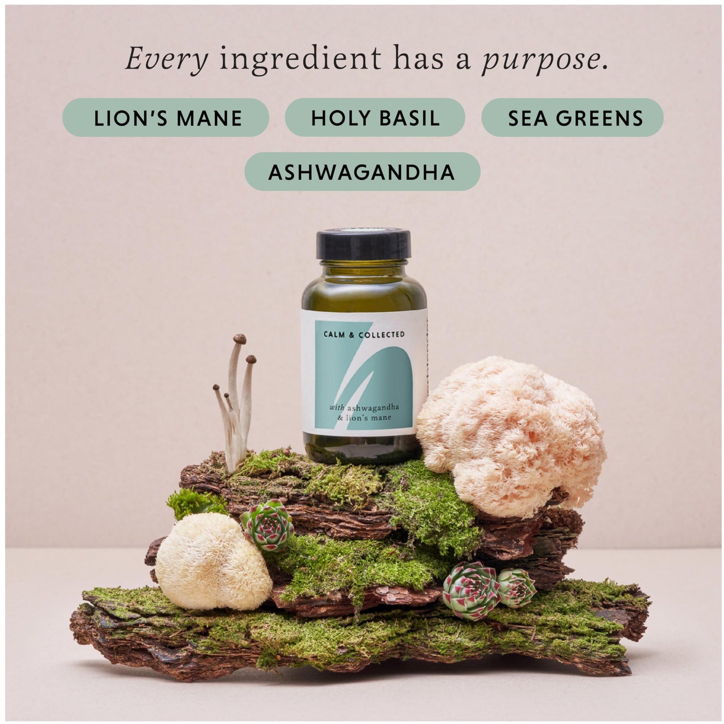 The Herbtender Calm & Collected - Ashwagandha, Lion's Mane, Holy Basil Blend for Anxious Moments, Supports Sleep & Inner Balance, Vegan, Organic Ingredients, 60 Capsules