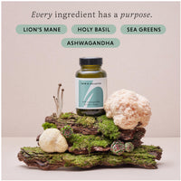 The Herbtender Calm & Collected - Ashwagandha, Lion's Mane, Holy Basil Blend for Anxious Moments, Supports Sleep & Inner Balance, Vegan, Organic Ingredients, 60 Capsules