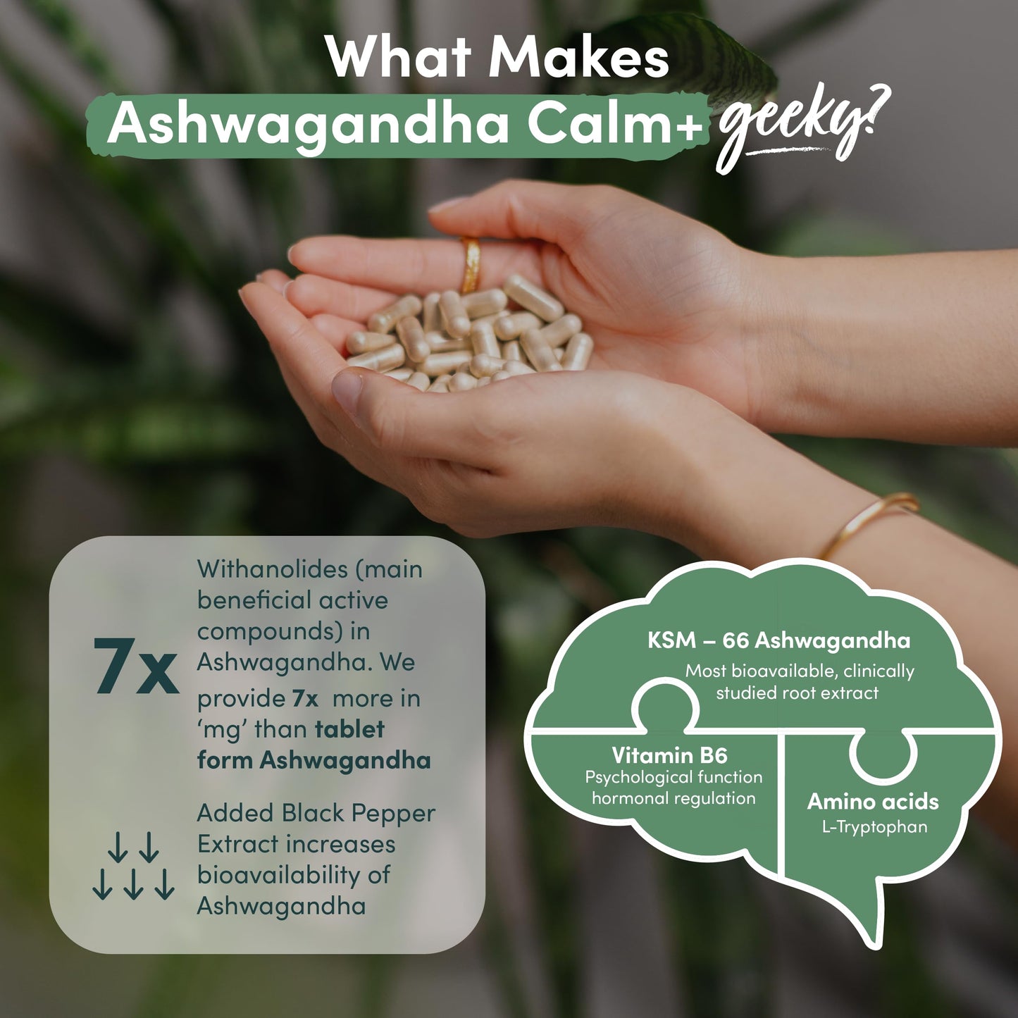 Nutrition Geeks Ashwagandha KSM 66 Complex – 3000mg Enhanced with L-Tryptophan & Vitamin B6 (2 Month Supply) – Ashwagandha High Strength Capsules with 250mg Extract (Not Gummies or Powder) - Vegan, UK Made