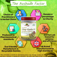Aushadh Pure Guduchi Giloy Powder, Tinospora Cordifolia