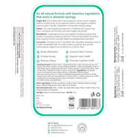 Wellbeing Nutrition Melts Vegan Vitamin B12 Supplements for Men & Women | Memory Booster and Brain, Heart & Nervous System Support with B12, Folate, Brahmi & CurcuWIN | 30 Oral Thin Strips