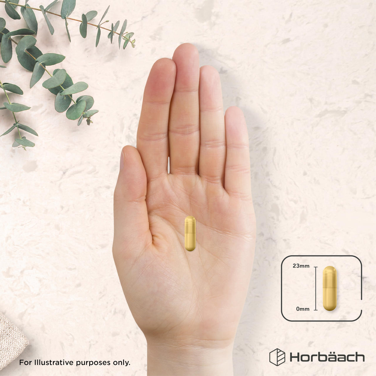Horbäach Ashwagandha KSM-66 and Lion's Mane 2500mg Capsules | KSM-66 Ashwagandha Root Extract & Lion's Mane Mushroom Extract, Enhanced with Black Pepper | 120 Vegan Capsules | Horbaach