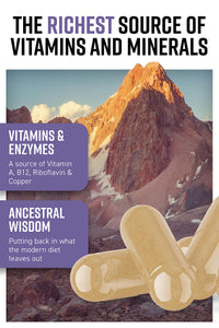 Hunter & Gather Nose to Tail - 180 Liver Capsules | Wild, Grass Fed Icelandic Lamb Ancestral Inspired Supplements| Raw Freeze-Dried Lamb | No GMO Feeds, Antibiotics Or Hormones