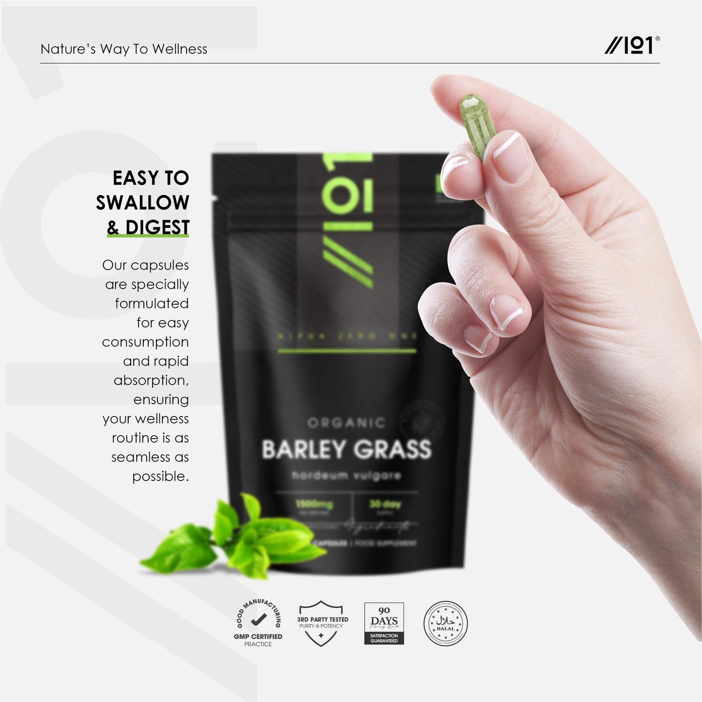 ALPHA01 Organic Barley Grass 1500mg – 90 Vegan Capsules – Rich in Amino Acids – High Strength Hordeum Vulgare Supplement – Resealable and Recyclable Pouch – by Alpha01