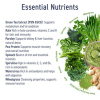 Applied Nutrition Critical Greens Powder and Superfood Blend for Gut Health Energy and Immune Support Vegan Daily Greens Juice Powder (150g - 30 Servings) (Apple Burst)