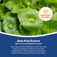 Hepatica Gotu Kola (Centella Asiatica) 5,000mg Equivalent | 250mg 20:1 Extract Standardised to 20% Triterpenes | 90 Vegan Capsules | 3-Month Supply | 3rd Party Lab Tested