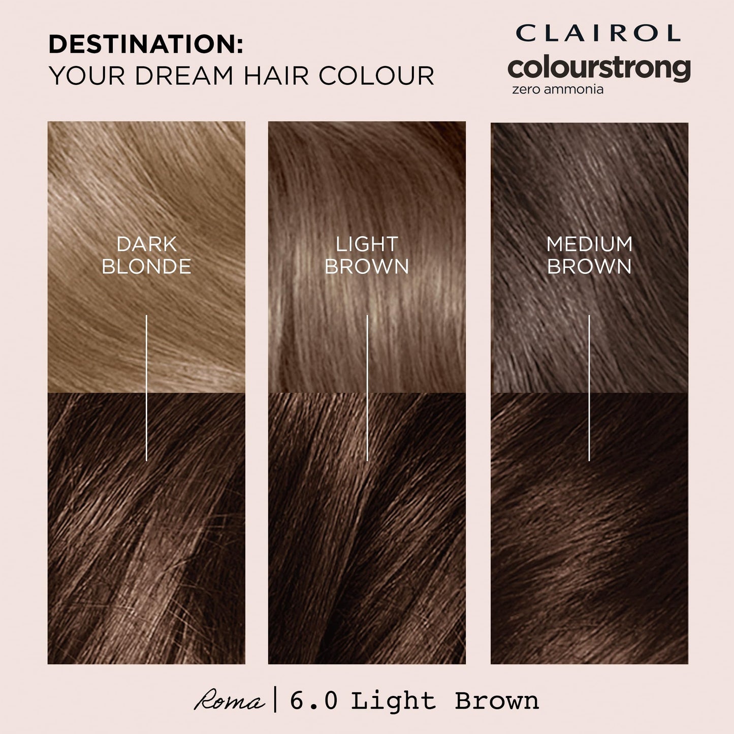 Clairol CLAIROL COLOUR STRONG PERMANENT HAIR DYE - 6.0 LIGHT BROWN