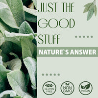 Nature's Answer, Sambucus (Black Elder), 2500mg, Alcohol Free, Vegan, 240ml, Lab-Tested, Gluten Free, Soy Free, Vegetarian, Non-GMO