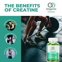 Organic Gains OG Creatine Monohydrate Gummies 5000mg for Men & Women - 60 Chewable Creatine Gummies - Natural Blueberry Flavoured, Pre Workout Gym Supplement, Suitable for Vegans