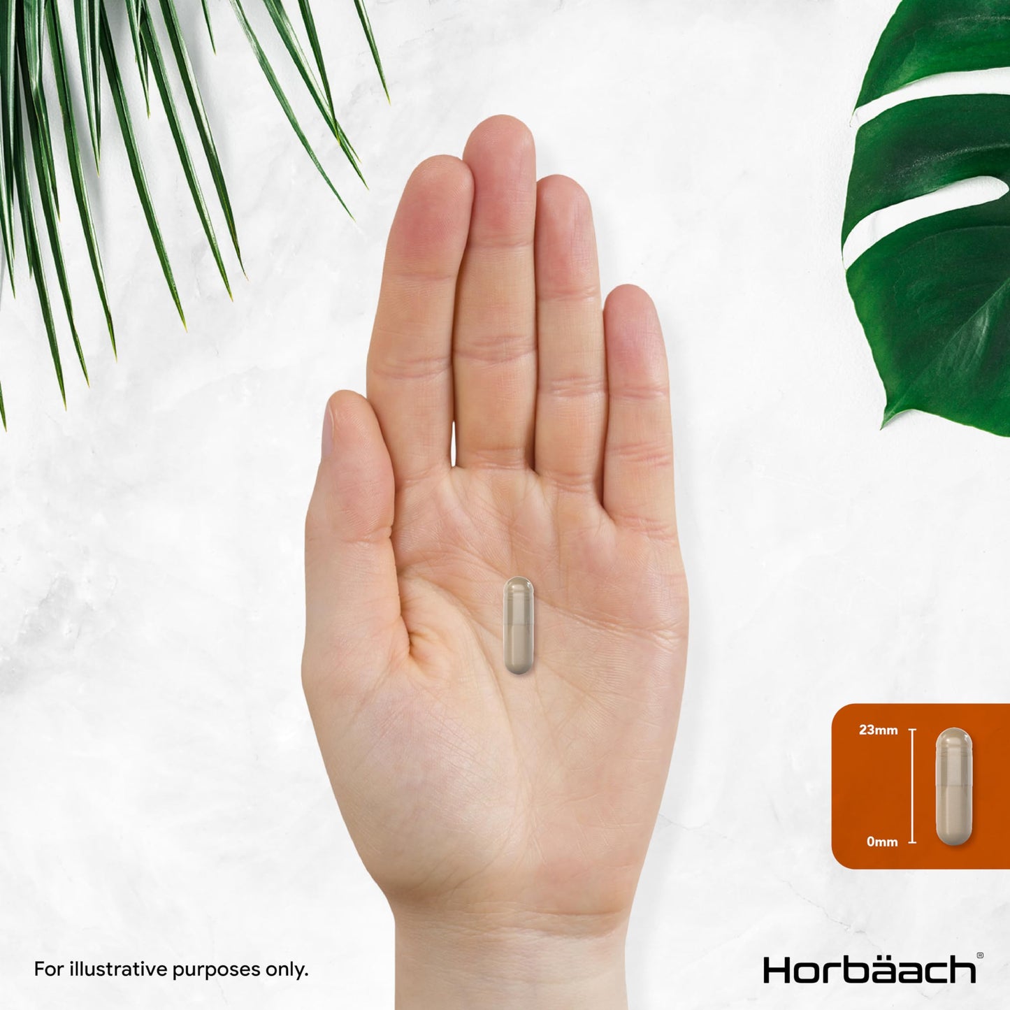 Psyllium Husks Capsules with Probiotic 5000mg | Fibre Supplement with Acidophilus Probiotic 2 Million CFU | Plantago Ovata Natural Extract | 90 Vegan Capsules | by Horbaach