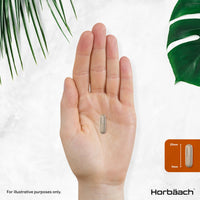 Psyllium Husks Capsules with Probiotic 5000mg | Fibre Supplement with Acidophilus Probiotic 2 Million CFU | Plantago Ovata Natural Extract | 90 Vegan Capsules | by Horbaach