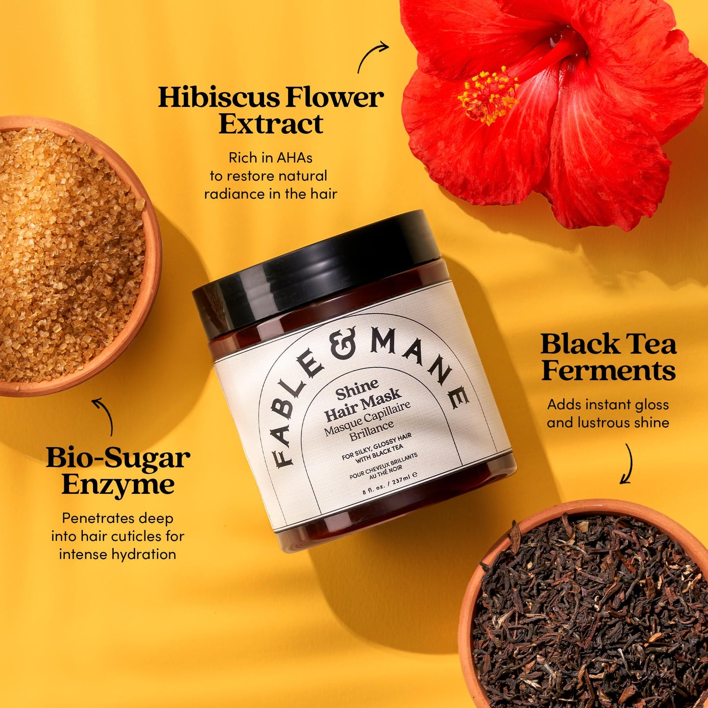 Fable & Mane Fable and Mane Shine Hair Mask (237ml). 3-Minute Hair Gloss Treatment – Boosts Shine, Tames Frizz & Revives Colour – Contains Black Tea Ferments and Bio-Sugar Enzymes for Irresistibly Glossy Strands