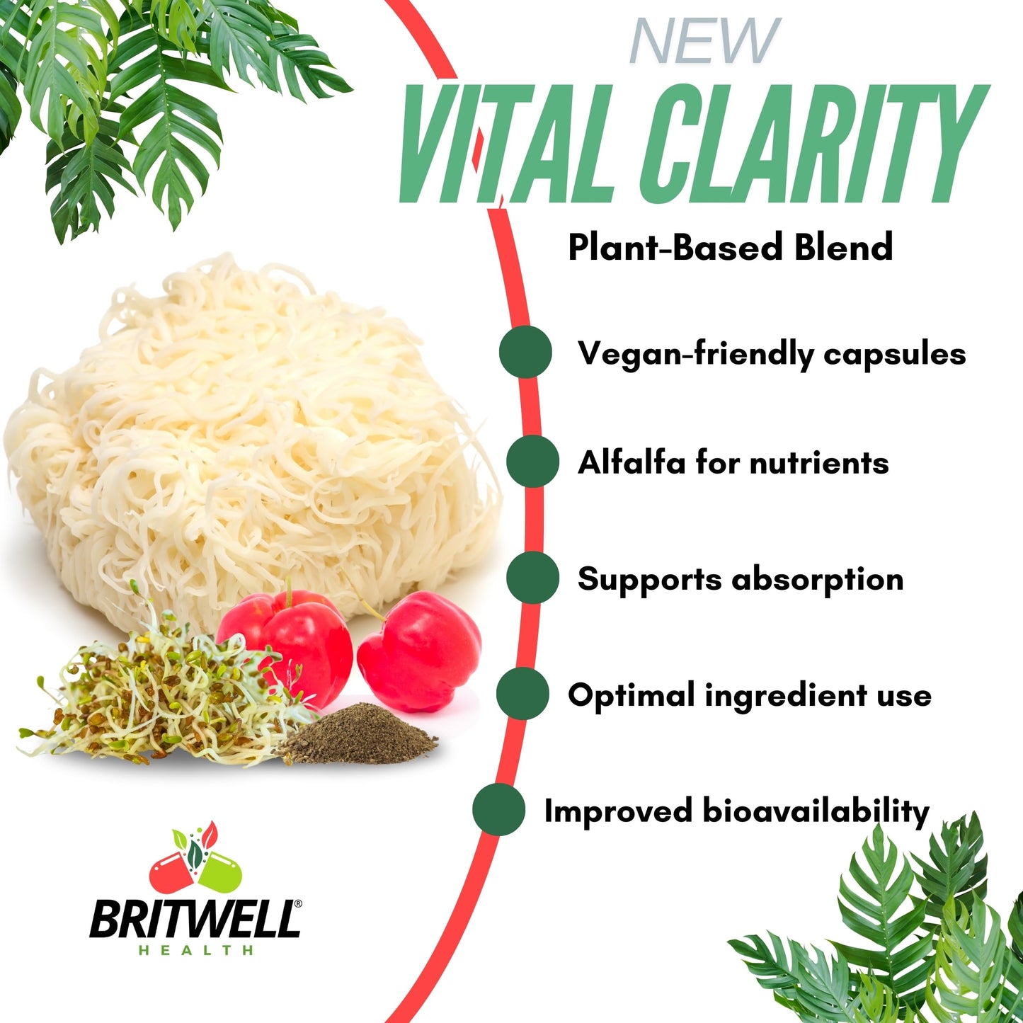 Lions Mane Mushroom Supplement High Strength 1500mg with Vitamin C - 120 Vegan Capsules with Alfalfa and Black Pepper Extract, 4 Month Supply Made in The UK -Focus & Immune Support - Britwell Health