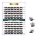 Lanciley Individual Lashes 144 Clusters Lashes DIY Eyelash Extensions False Eyelashes Individual Natural Soft Reusable Easy to Use C/D Curl 10/12/14/15/16mm - L28
