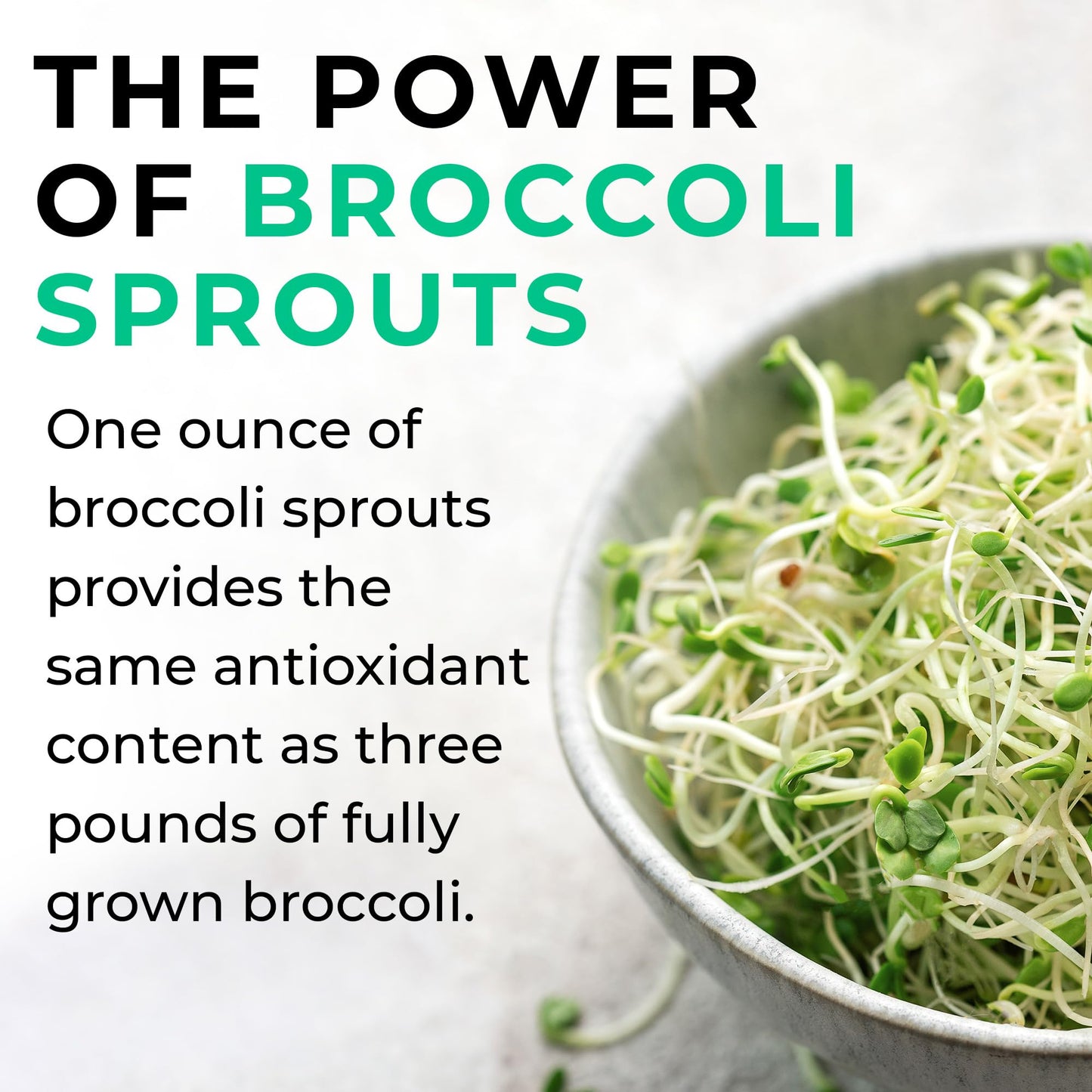 LOVE LIFE SUPPLEMENTS Broccoli Sprout Extract by LLS | Contains Activated Sulforaphane | 60 Capsules | 15,000mg of Whole Plant Equivalent per Serving | Sulforaphane Supplement | Potent Antioxidant Content