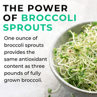 LOVE LIFE SUPPLEMENTS Broccoli Sprout Extract by LLS | Contains Activated Sulforaphane | 60 Capsules | 15,000mg of Whole Plant Equivalent per Serving | Sulforaphane Supplement | Potent Antioxidant Content