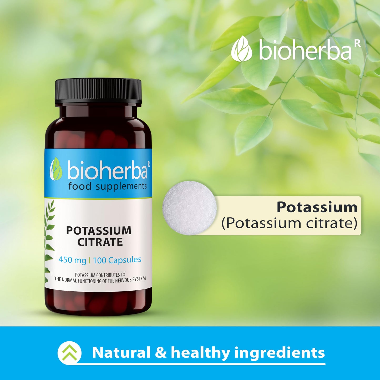 Potassium Citrate 450 mg – 100 Capsules | Muscle, Nerve and Blood Pressure Support by BIOHERBA
