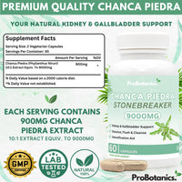 ProBotanics Chanca Piedra Stone Breaker Capsules | Kidney, Liver & Gallbladder Support – Dissolve, Flush & Cleanse | 900mg Per Serving (10:1 Extract Equiv. to 9000mg) Kidney Cleanse Supplement - 60 Capsules