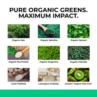 LOVE LIFE SUPPLEMENTS Organic Greens by LLS | 273g - 30 Servings | Unflavoured | Contains 6 Organic Greens - Kale, Spirulina, Spinach, Seagreens, Pea, Chlorella Plus Inulin and Lactospore® | Love Life Supplements