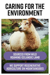 Hunter & Gather Nose to Tail - 180 Liver Capsules | Wild, Grass Fed Icelandic Lamb Ancestral Inspired Supplements| Raw Freeze-Dried Lamb | No GMO Feeds, Antibiotics Or Hormones
