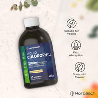 Horbäach Liquid Chlorophyll Drops for Water | 3100mg Per Bottle | 473ml | Vegan Supplement | Mint Flavour | by Horbaach