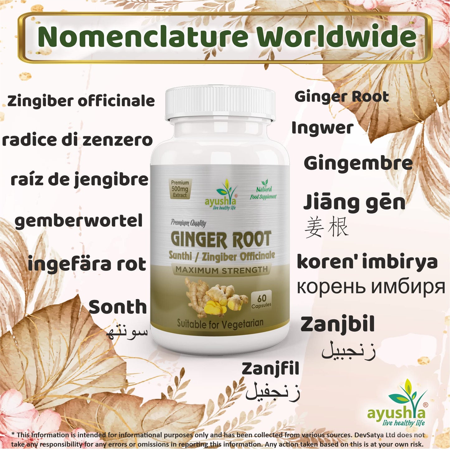 Ayushya Ginger Root (Sunthi) Capsule