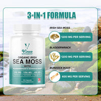 Vinco Supplements Organic Irish Sea Moss Capsules with Bladderwrack & Burdock Root - Sea Moss Supplement, Organic Sea Moss 1200mg, Bladderwrack 1200mg & Burdock 400mg per Serving - Gluten Free, Non-GMO (120 Capsules)