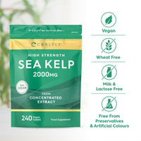 Sea Kelp Tablets 2000mg | 240 Vegan Tablets | High Strength Sea Kelp Supplements for Men & Women | by Carlyle