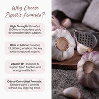 Zipvit Odourless Garlic Capsules 5000mg with Vitamin B1 – 360 Capsules (12 Month Supply) – 10mg 500:1 Garlic Extract