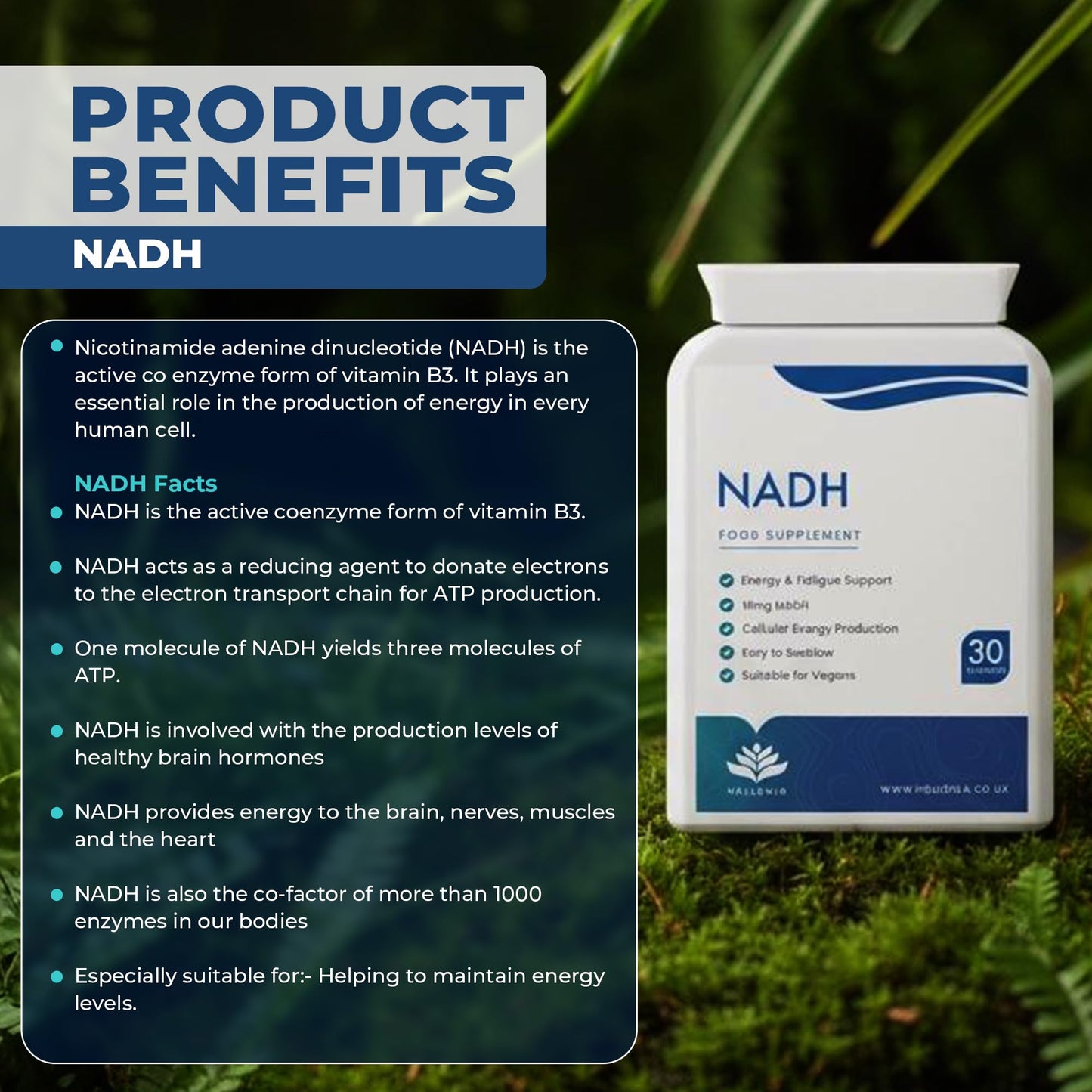 NADH 10mg | 30 Capsules | Energy Supplement | Energy Booster, NAD+ Supplement, Active Form of Vitamin B3 | Vegan Friendly - GMP Certified Product | Made in The UK by Hellenia