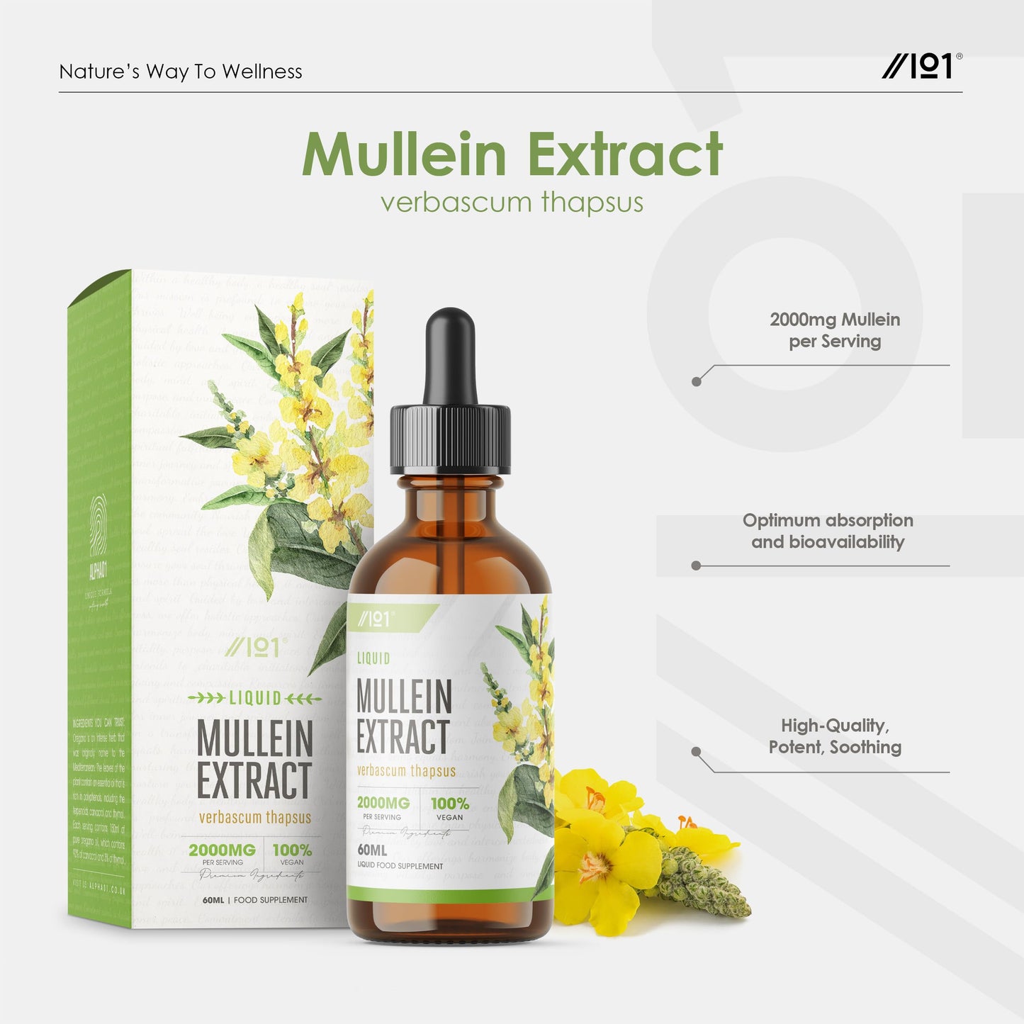 ALPHA01 Mullein Leaf Extract for Lungs 2000mg - 60ml - High Strength Liquid Mullein Leaf - Made in EU - Mullein Leaf Vegan Liquid Drops by Alpha01