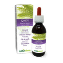 Horsetail (Equisetum arvense) herb Alcohol-Free Mother Tincture Naturalma | Liquid Extract Drops 120 ml | Food Supplement | Vegan