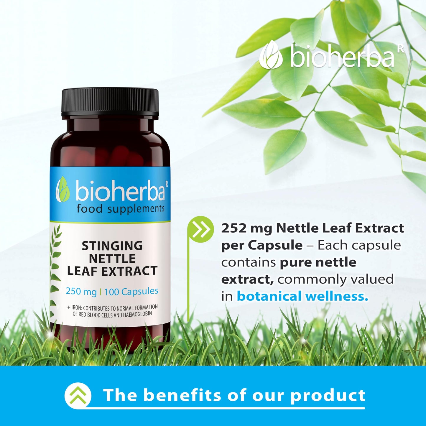 BIOHERBA Stinging Nettle Leaf Extract 250 mg – 100 Capsules | Traditional Herbal Supplement for Water Balance and Daily Wellbeing
