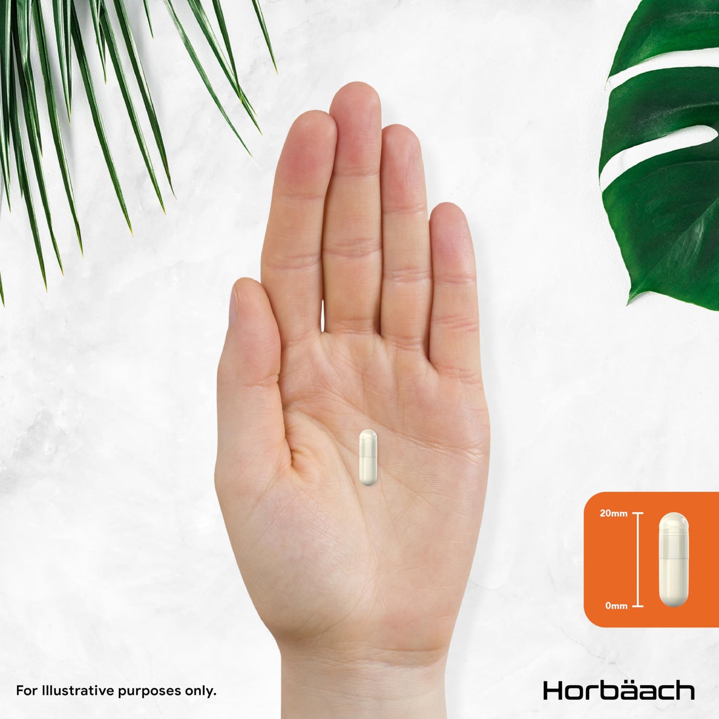 Horbäach Vitamin C 1000mg with Rosehip | 180 Capsules | High Strength Vitamin C as Ascorbic Acid with Added Rosehip and Sunflower Lecithin | Vegan Supplement | by Horbaach