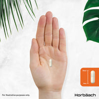 Horbäach Vitamin C 1000mg with Rosehip | 180 Capsules | High Strength Vitamin C as Ascorbic Acid with Added Rosehip and Sunflower Lecithin | Vegan Supplement | by Horbaach