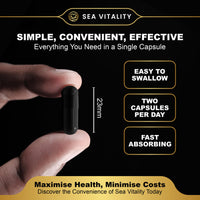 Shilajit SeaMoss and Lions Mane Capsules - 60 High-Strength Vegetable Capsules, 1600mg per Serving, Pure Shilajit, Natural Sea Moss, and Lion's Mane for Enhanced Cognitive and Physical Health